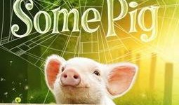 夏洛的网在线观看,温馨回忆，爱与生命的永恒旋律